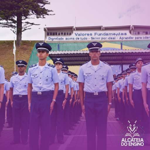 Cronograma de Estudos Alcateia